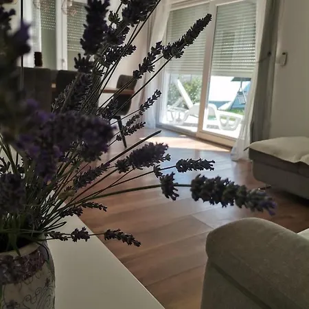 Zara Apartment *