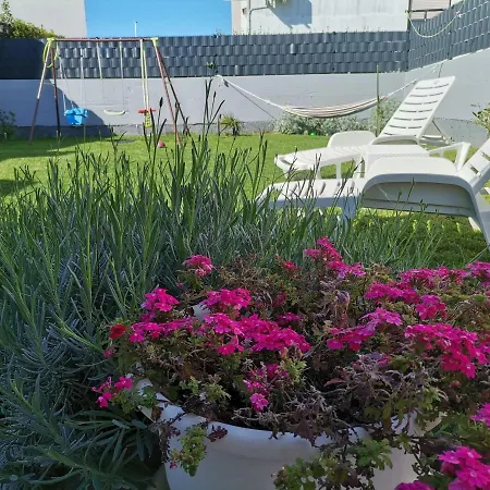 Zara Apartment