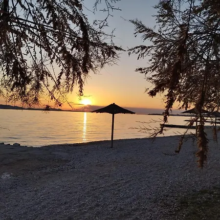 Zara * Bibinje